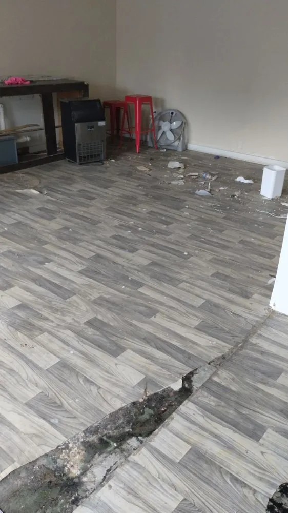 Slide of Remnant roofing and repair