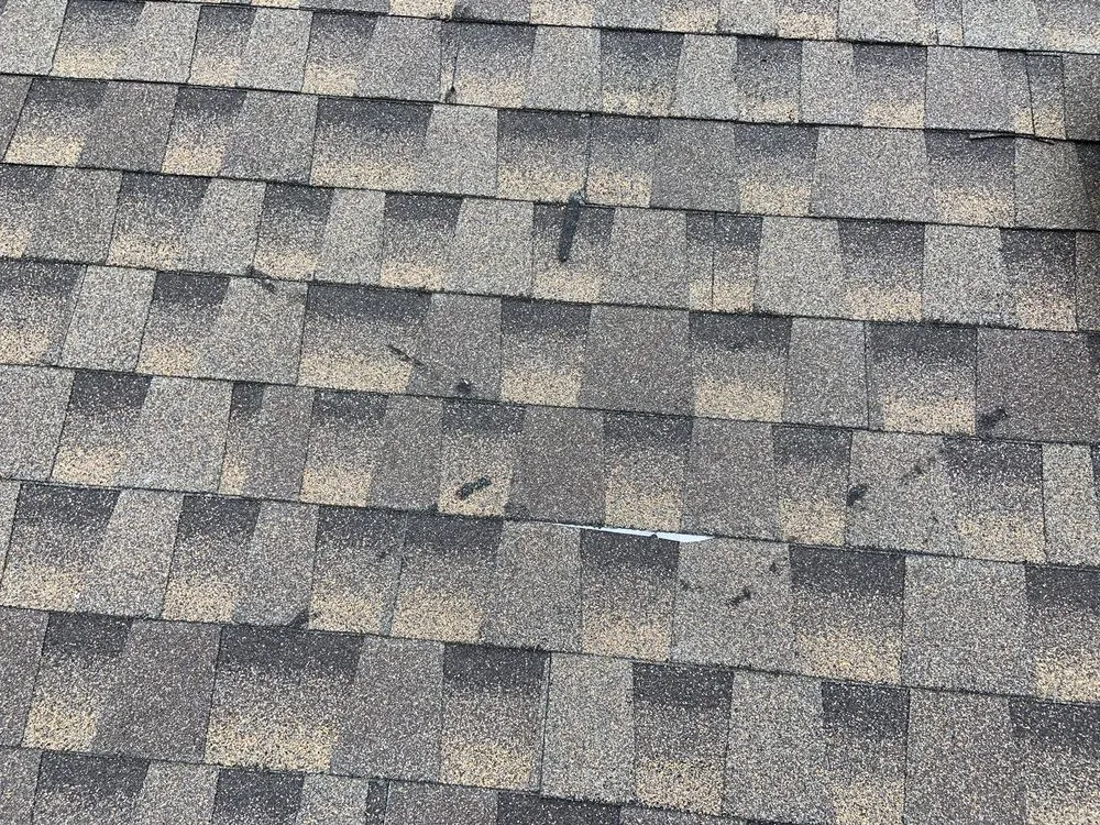 Slide of Remodel America