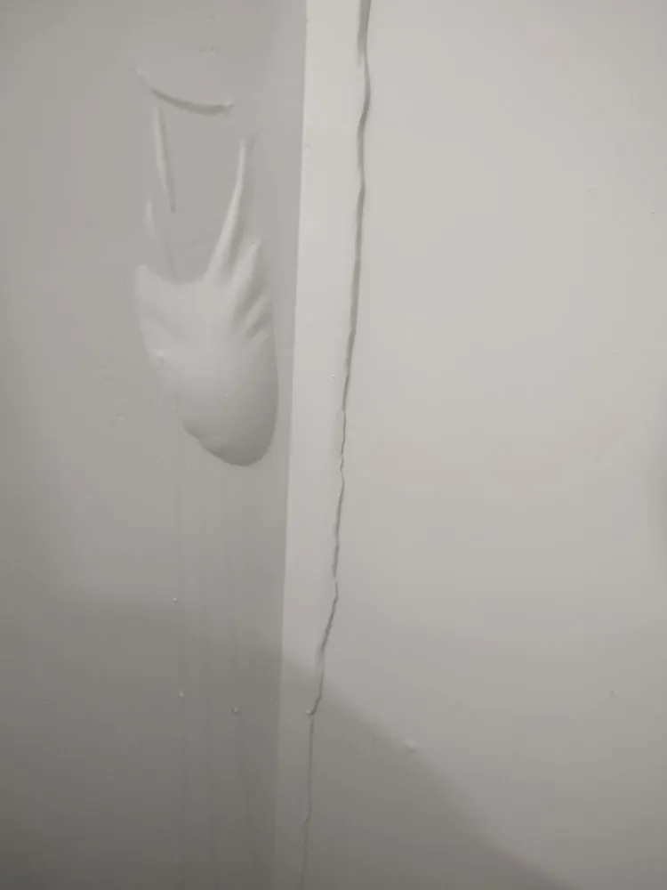 Slide of Renaissance Restorations