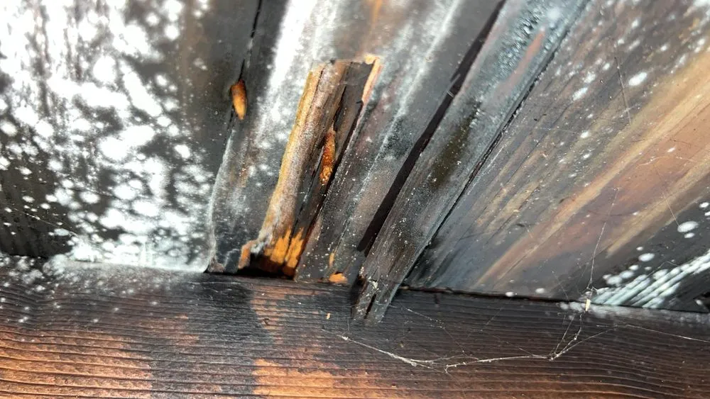 Slide of Renaissance Roofing and Restoration