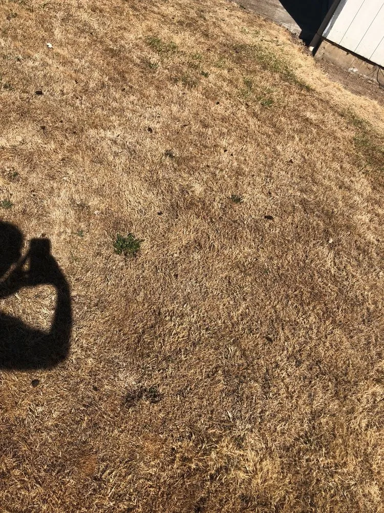 Slide of Renaissance Roofing