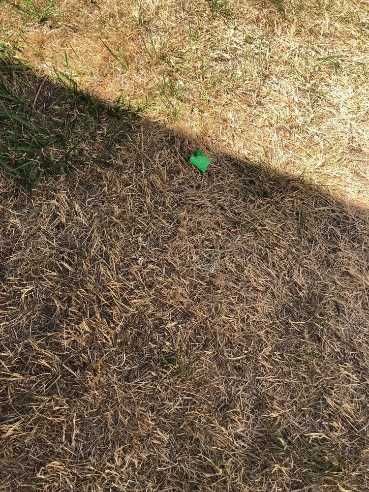 Slide of Renaissance Roofing