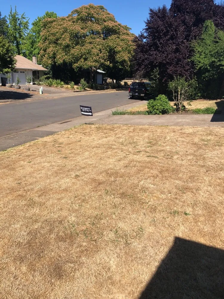 Slide of Renaissance Roofing