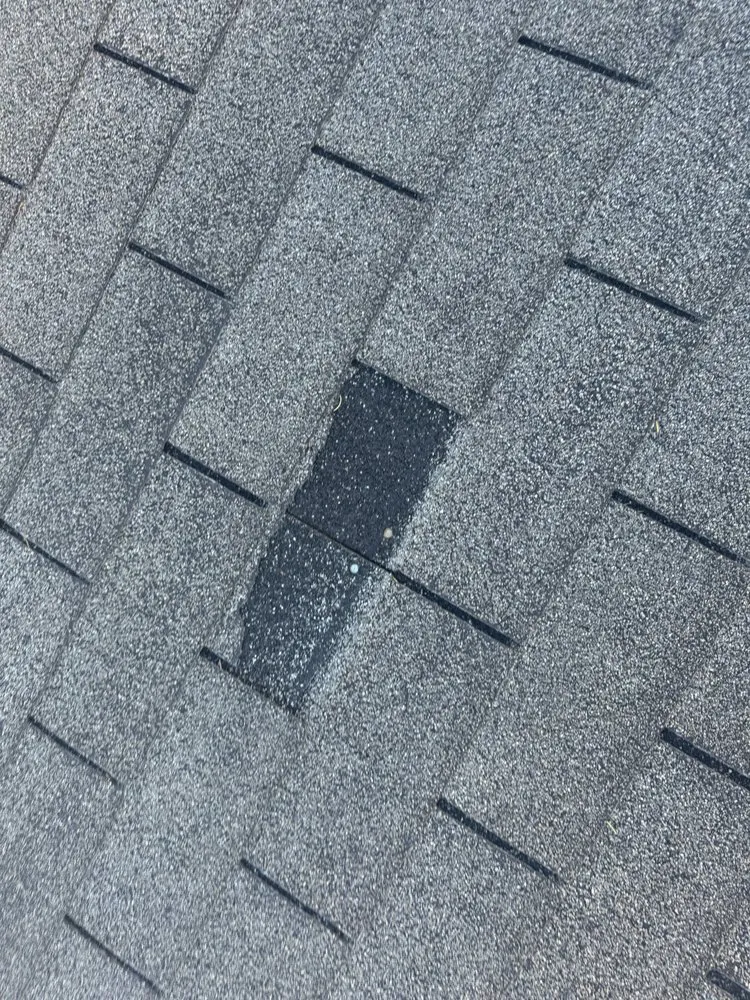 Slide of Rene Roofing