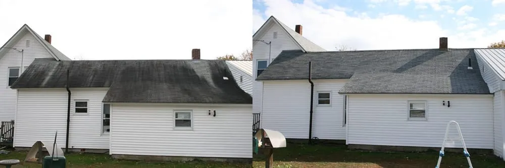 Slide of Renew Roof & Exterior Cleaning