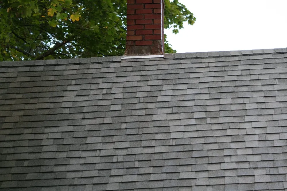 Slide of Renew Roof & Exterior Cleaning