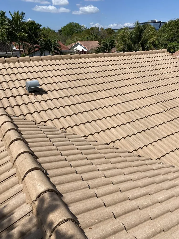 Slide of Renew Roof Cleaning