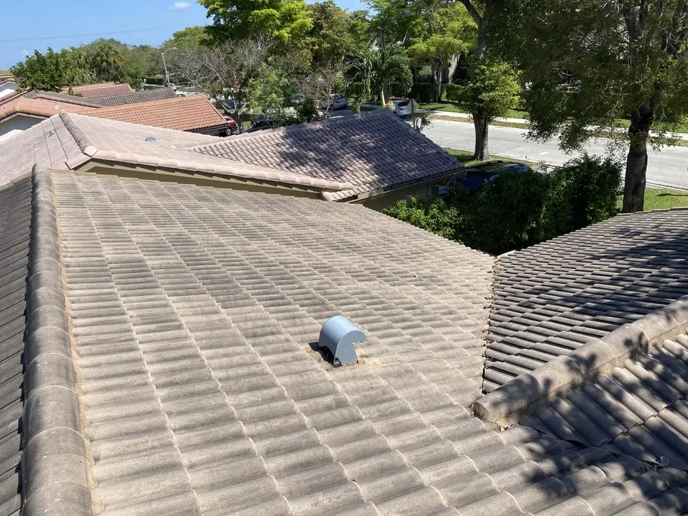 Slide of Renew Roof Cleaning