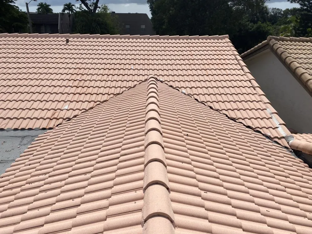 Slide of Renew Roof Cleaning