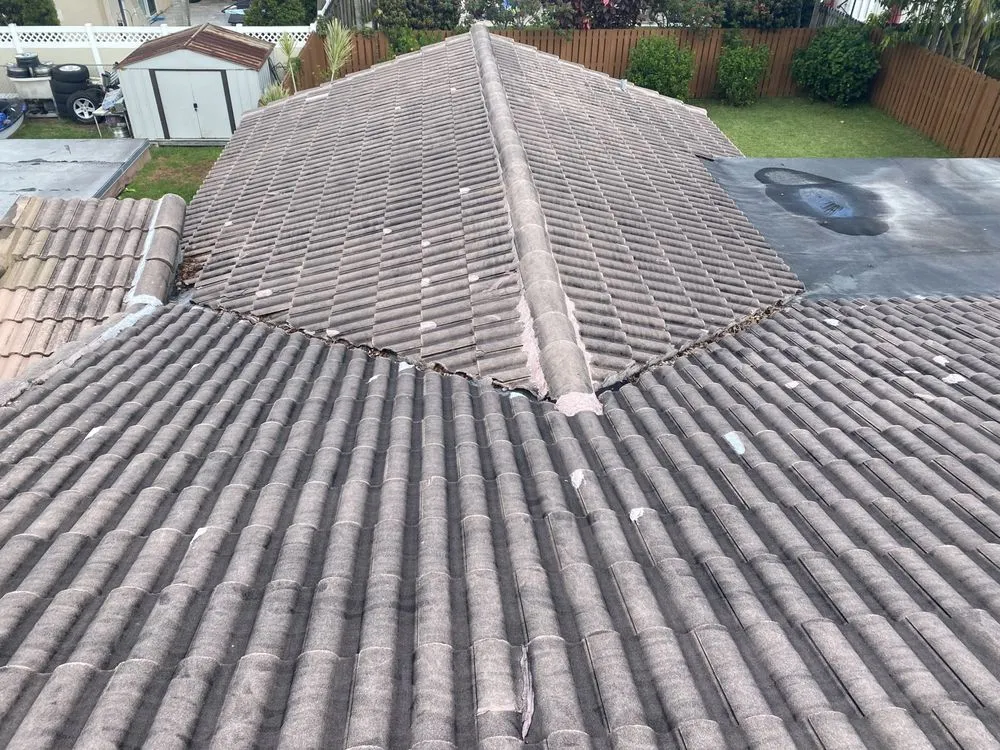 Slide of Renew Roof Cleaning