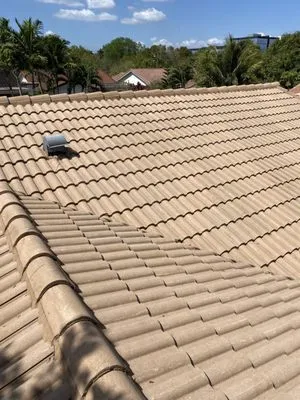 Renew Roof Cleaning