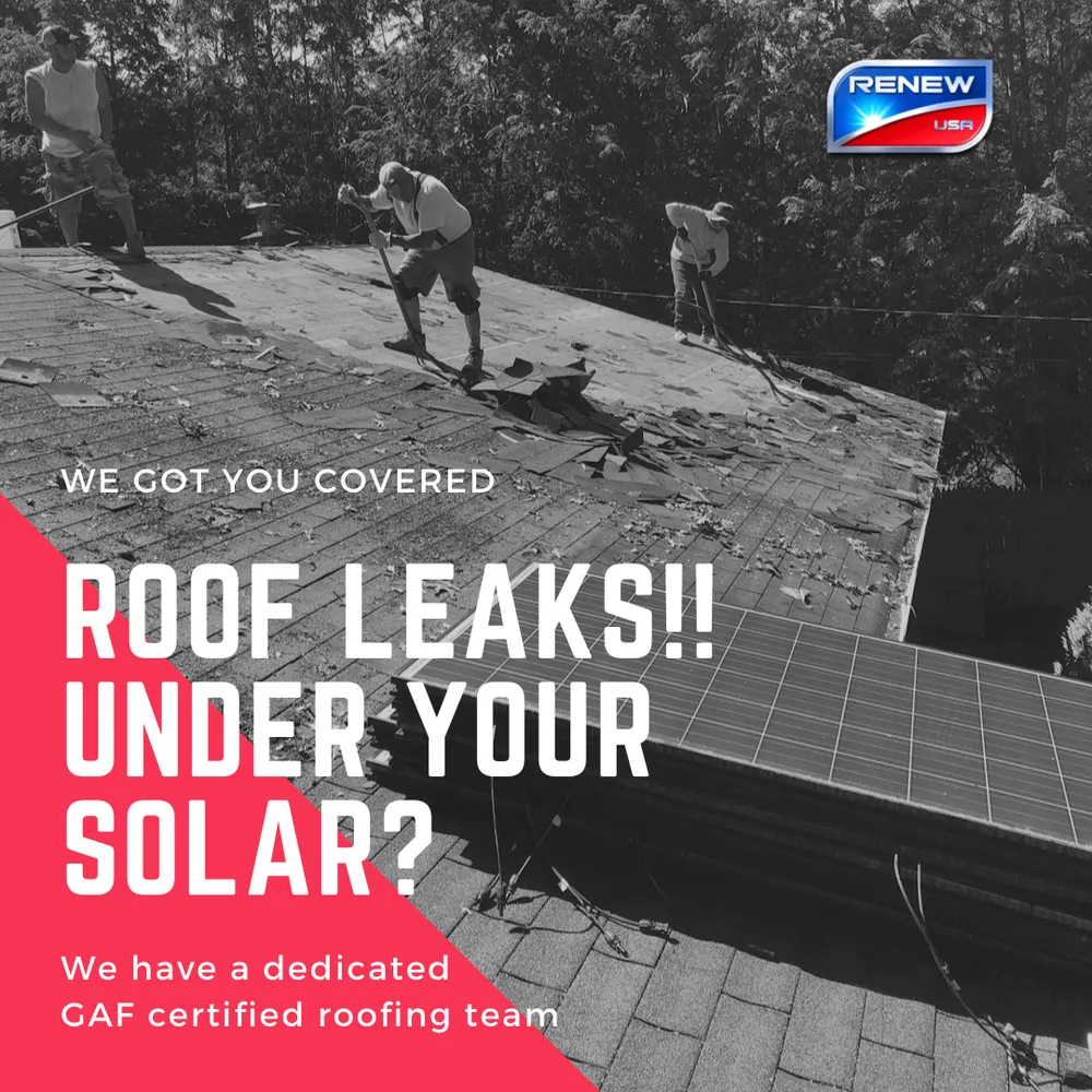 Slide of Renew Solar Services