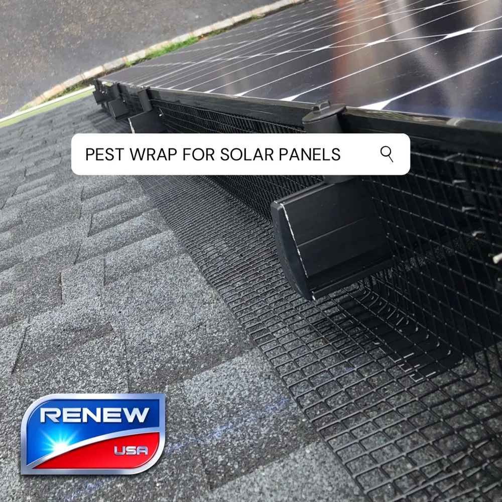 Slide of Renew Solar Services