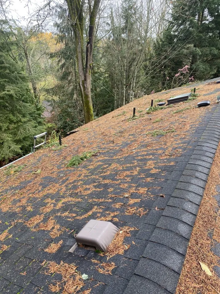 Slide of Renewal Cleaning