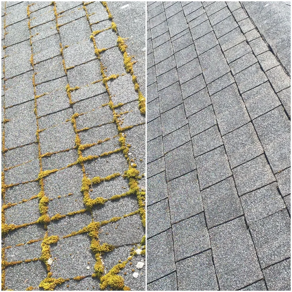 Slide of Renewal Cleaning