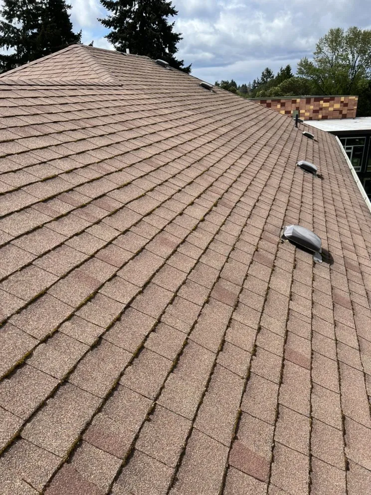 Slide of Renewal Cleaning