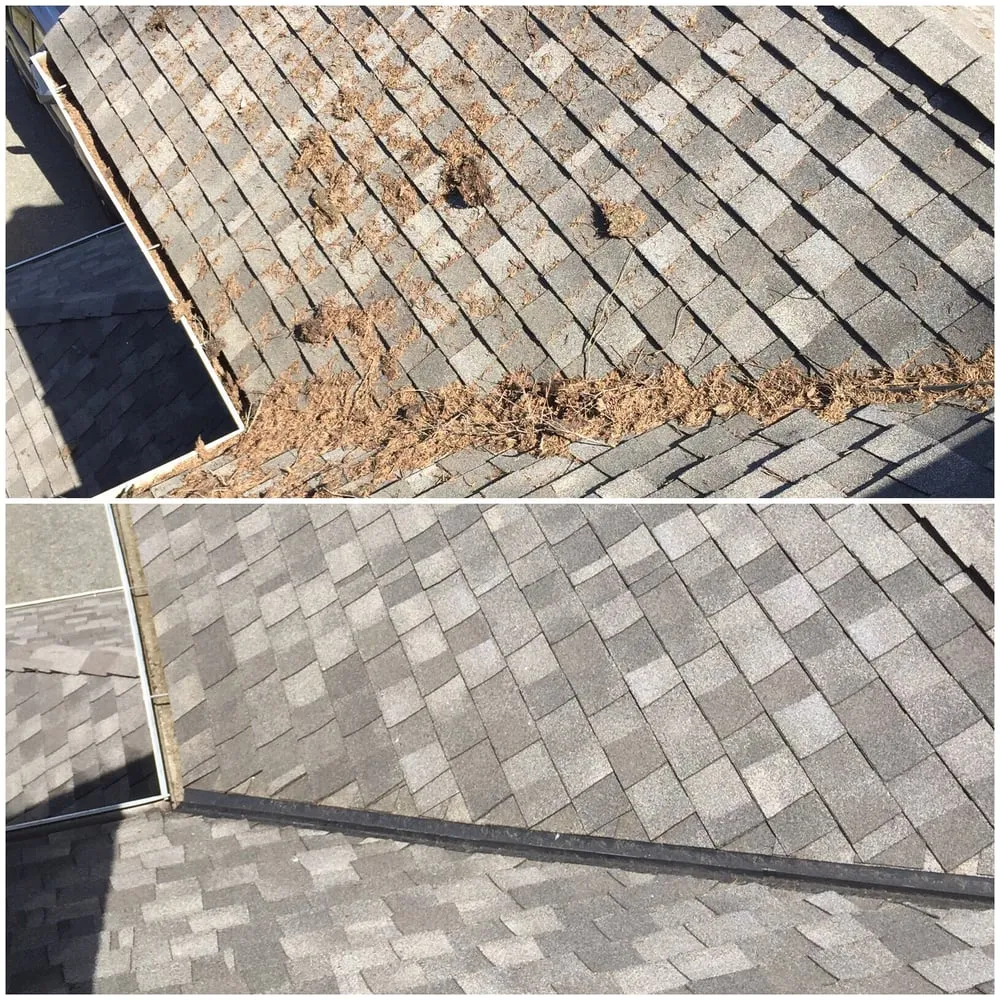 Slide of Renewal Cleaning