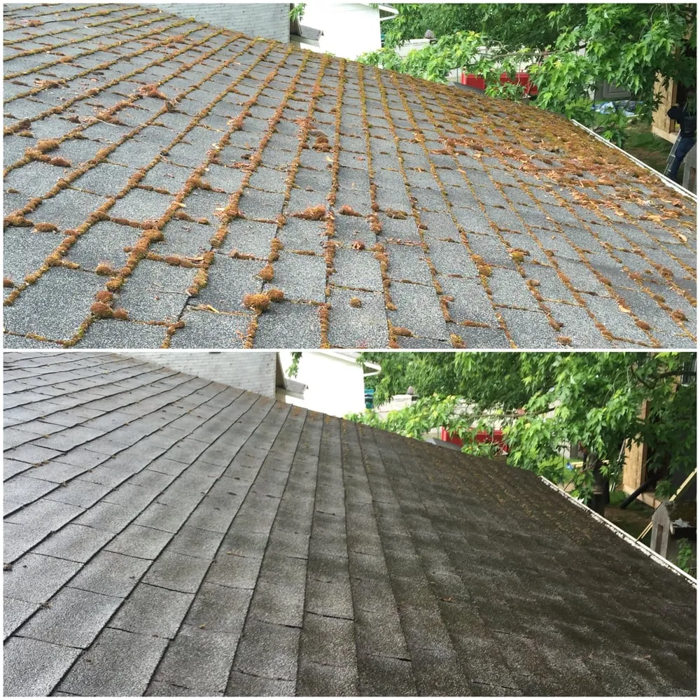 Slide of Renewal Cleaning