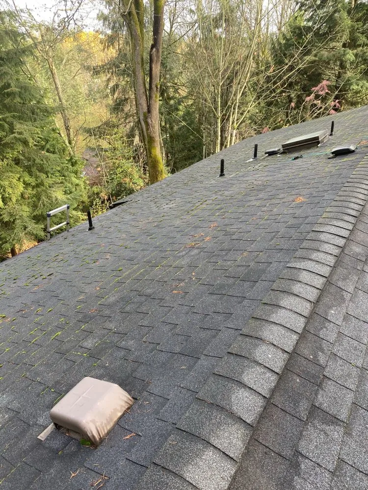 Slide of Renewal Cleaning