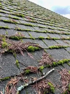 Slide of Renewal Cleaning