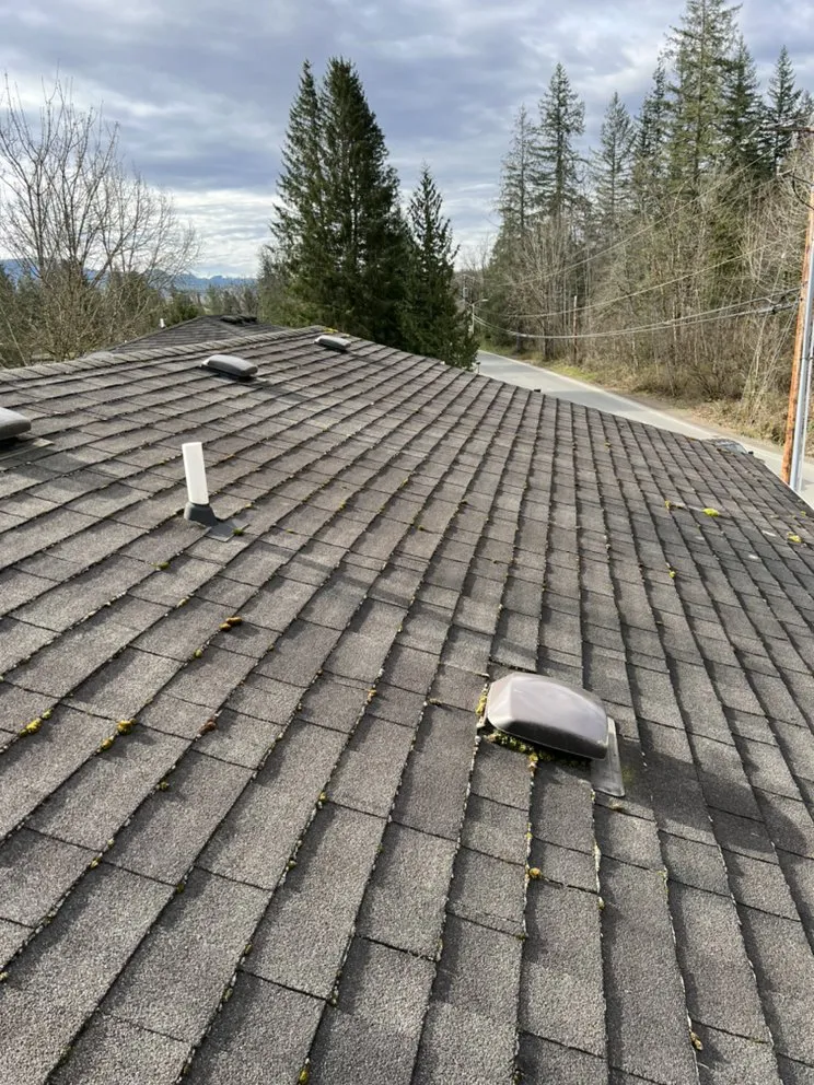 Slide of Renewal Cleaning