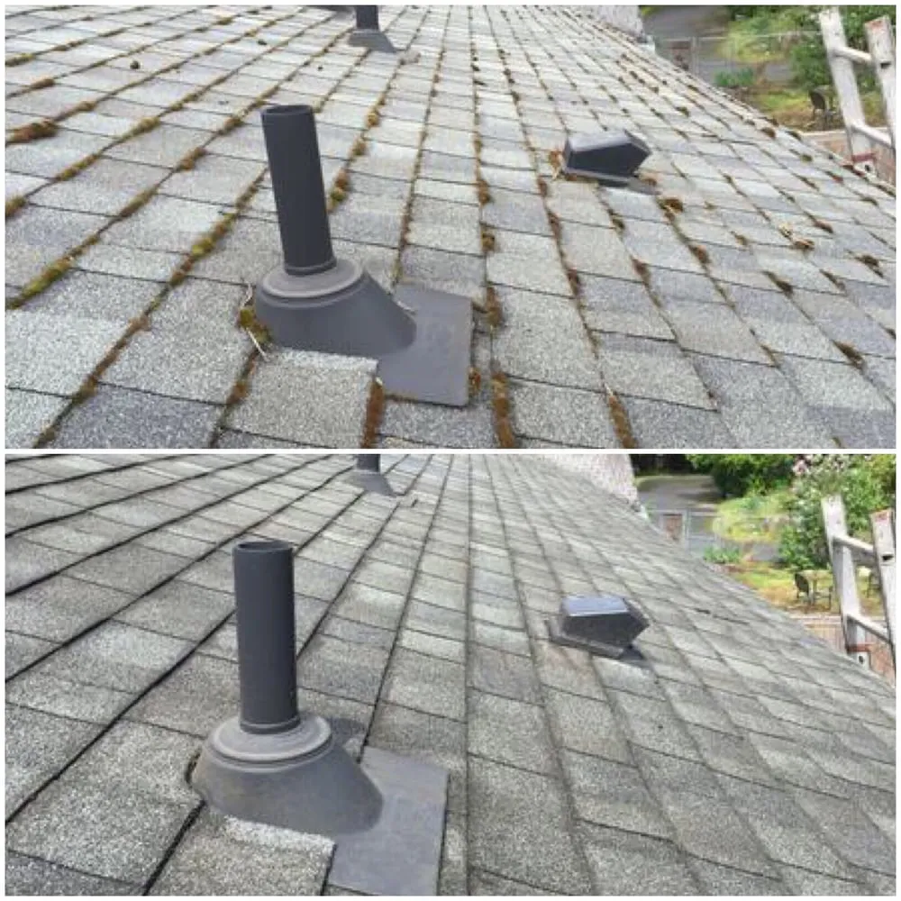 Slide of Renewal Cleaning