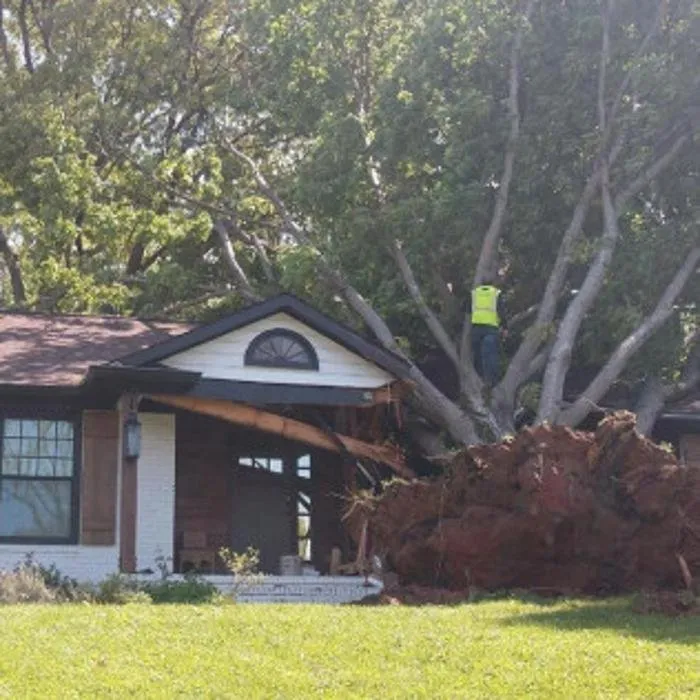 Slide of Renewvations Unlimited