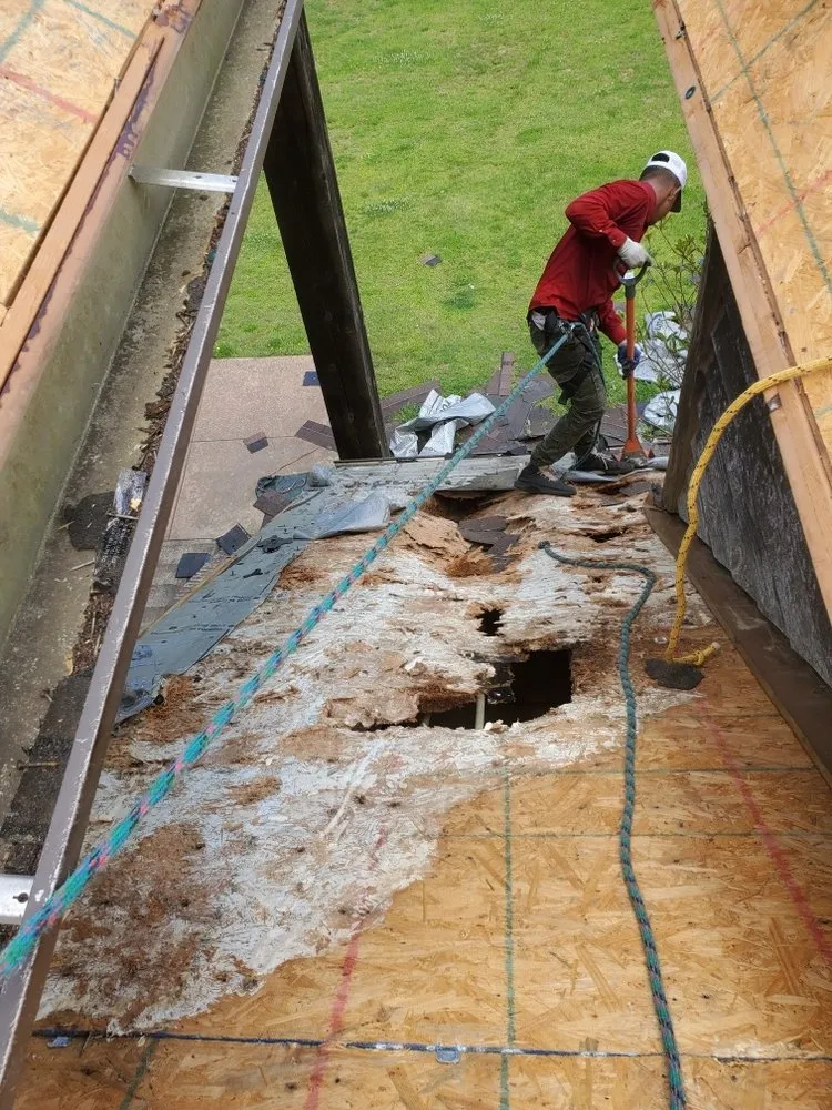 Slide of Renova Roofing & Construction