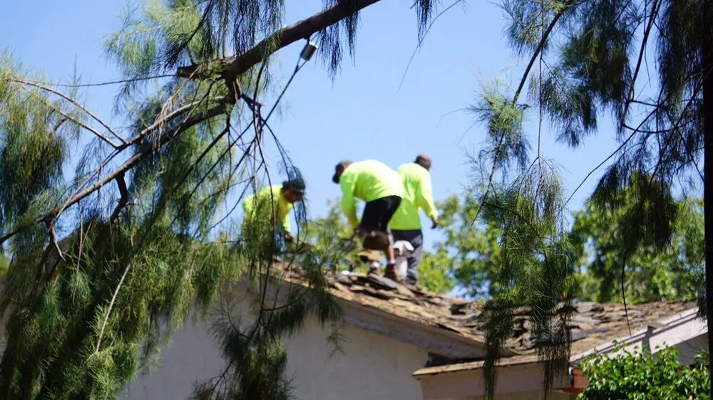 Slide of Renovating America