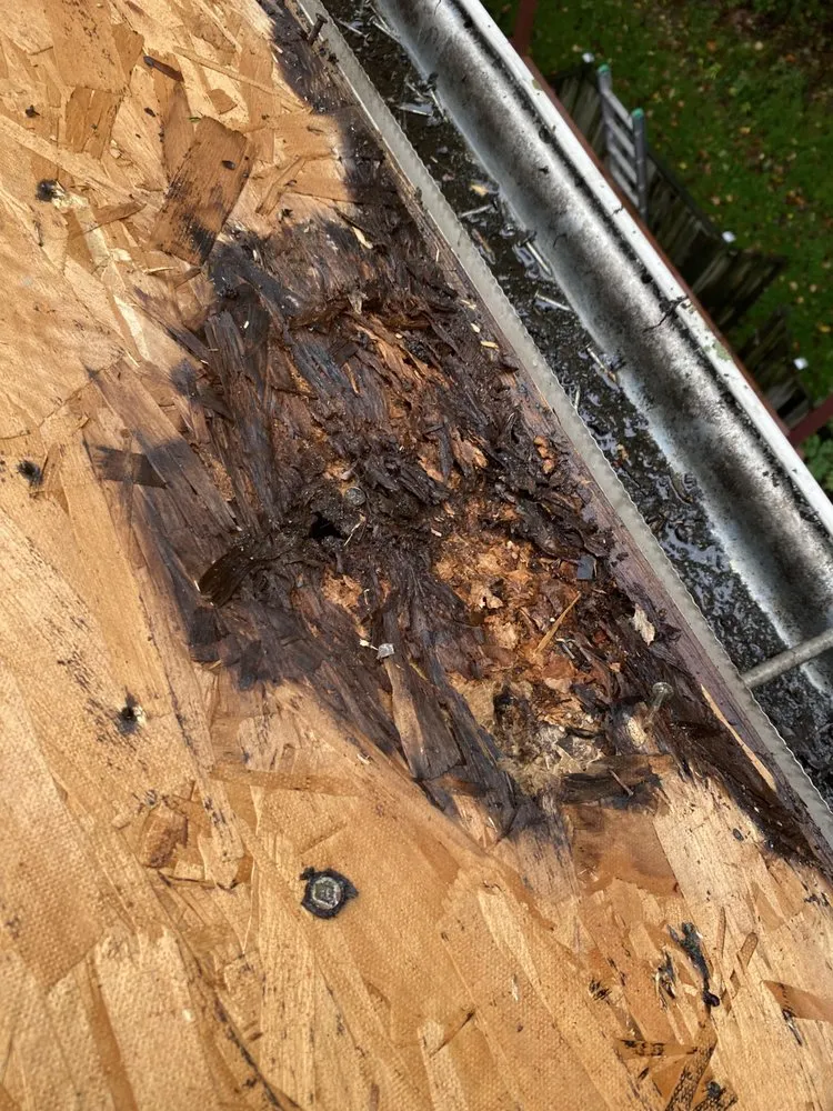 Licensed shingle roofing service experts serving Ijamsville, MD - Renovation One