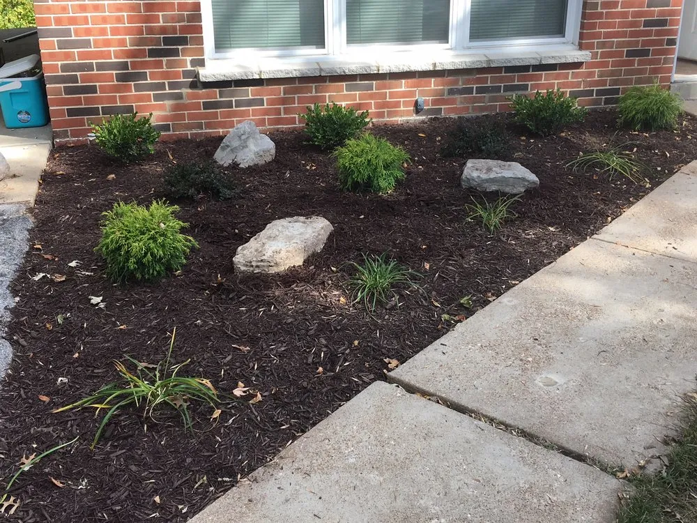 Slide of Renovation Team