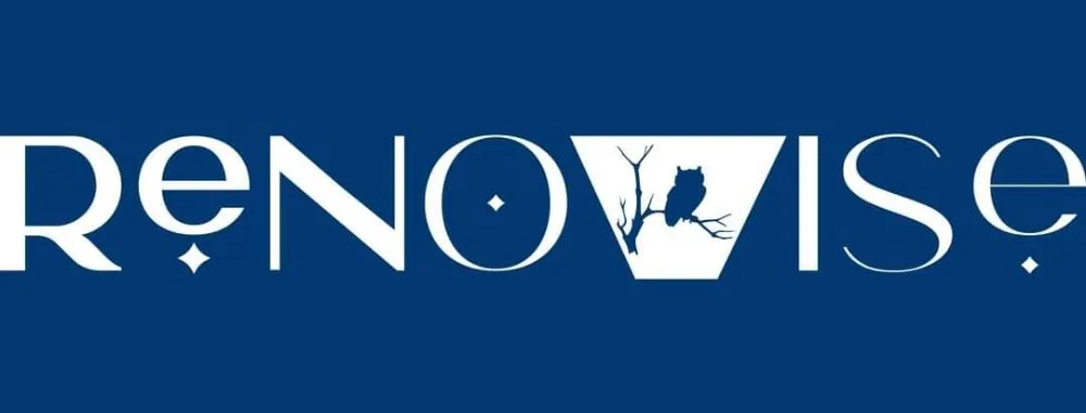 Expert residential roofing service in Locust Grove, VA by Renowise