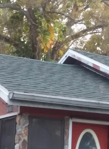 Top-rated roof inspection with free inspection in St. Petersburg, FL by Rent A Hand