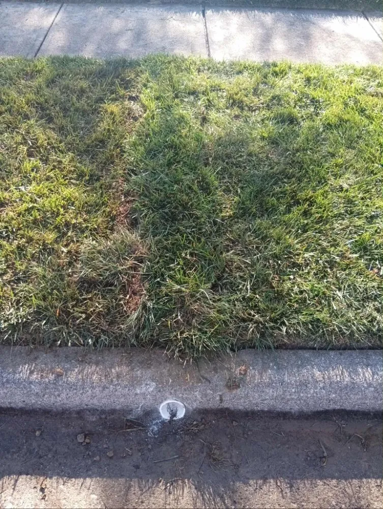 Slide of Repair King