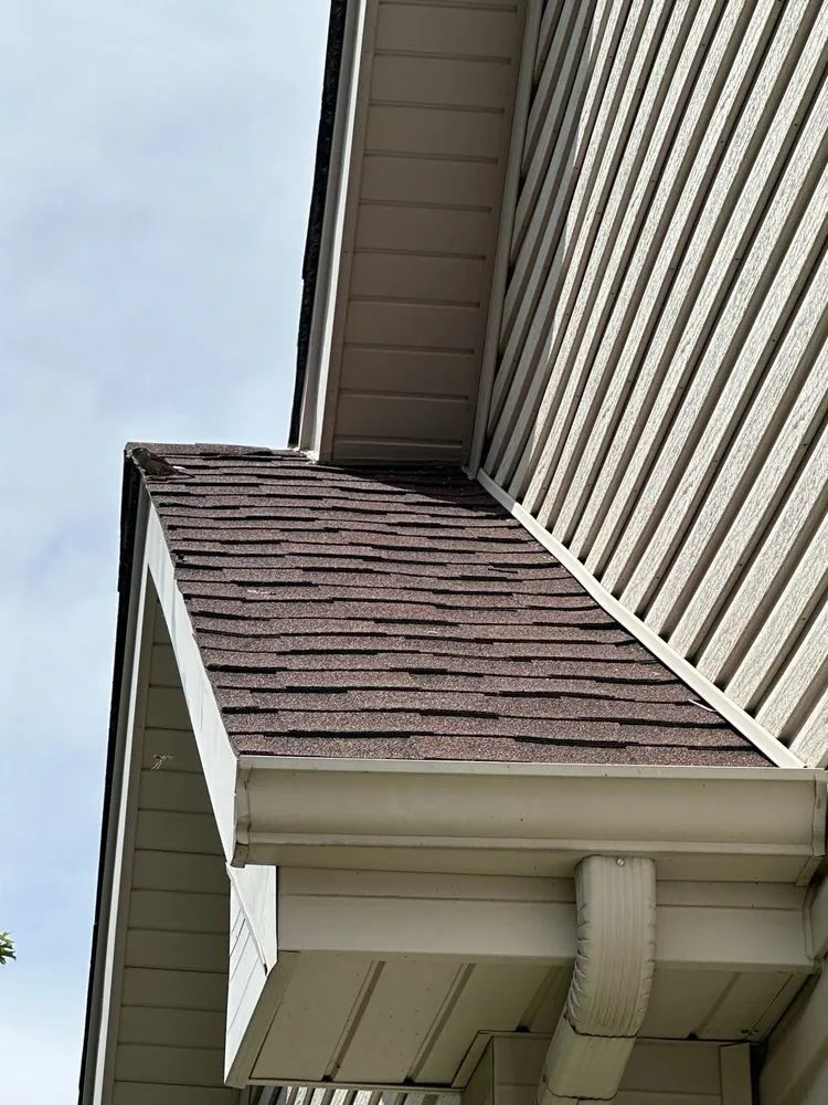 Slide of Repaired and Relieved