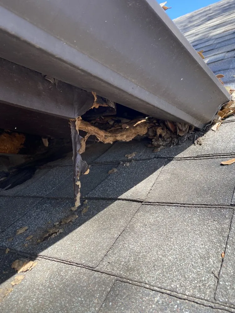 Slide of Republic Exterior