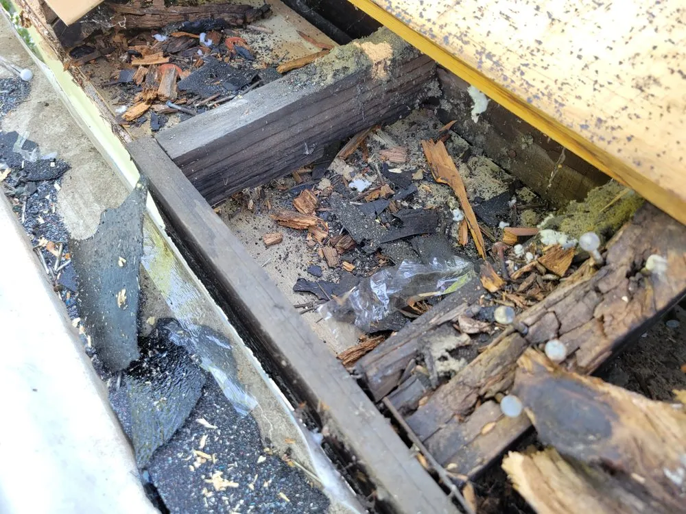 Slide of Reroof Exteriors