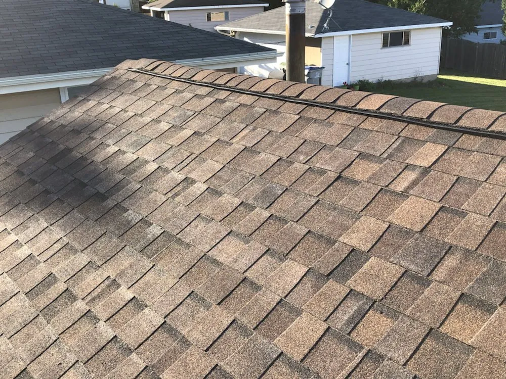 Slide of Rescue My Roof