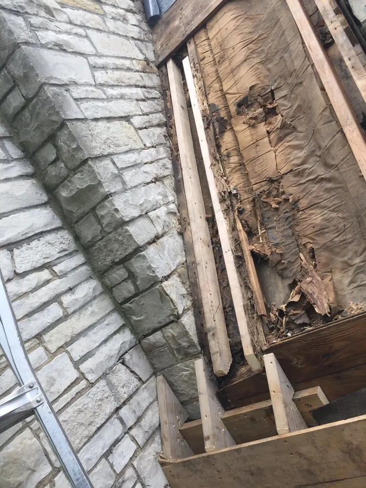 Slide of Rescue My Roof