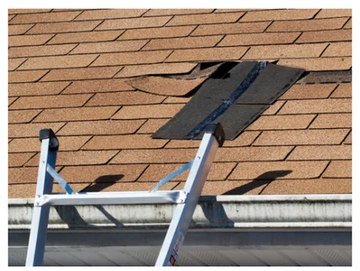 Slide of Rescue My Roof