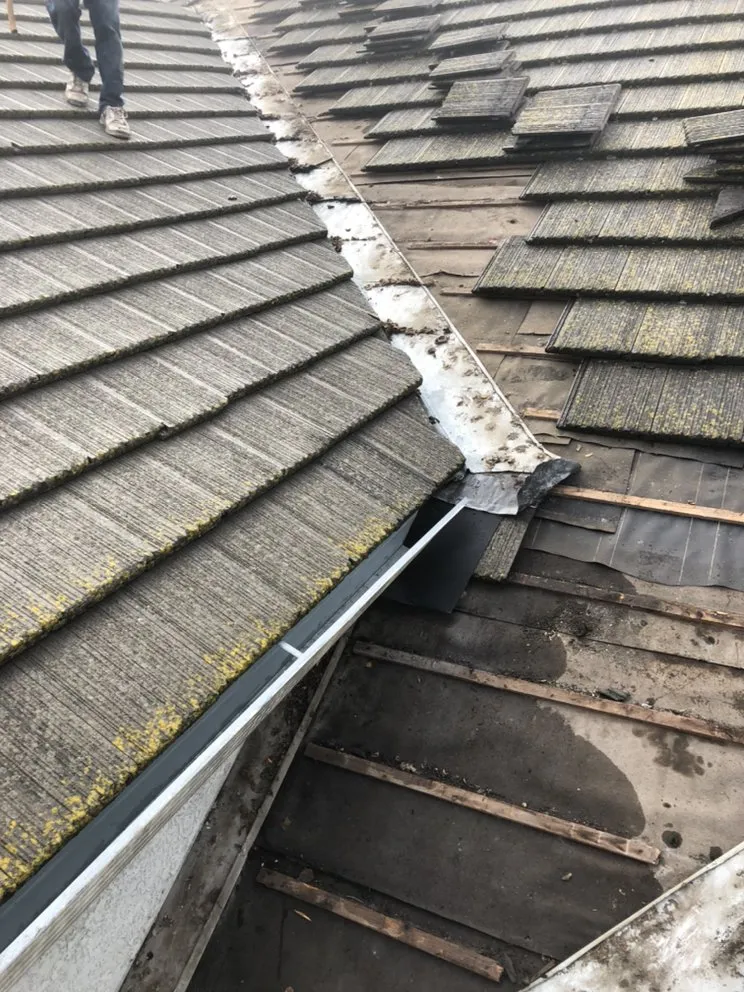 Slide of Rescue Roofer