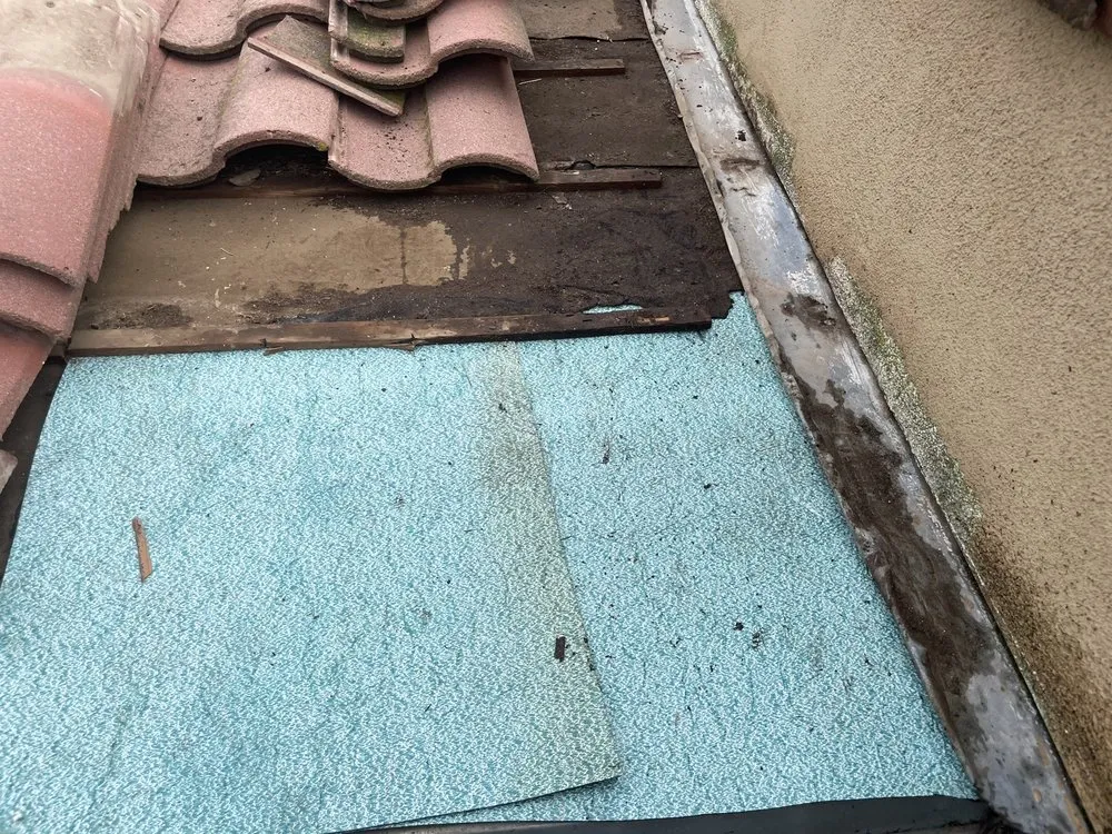 Slide of Rescue Roofer