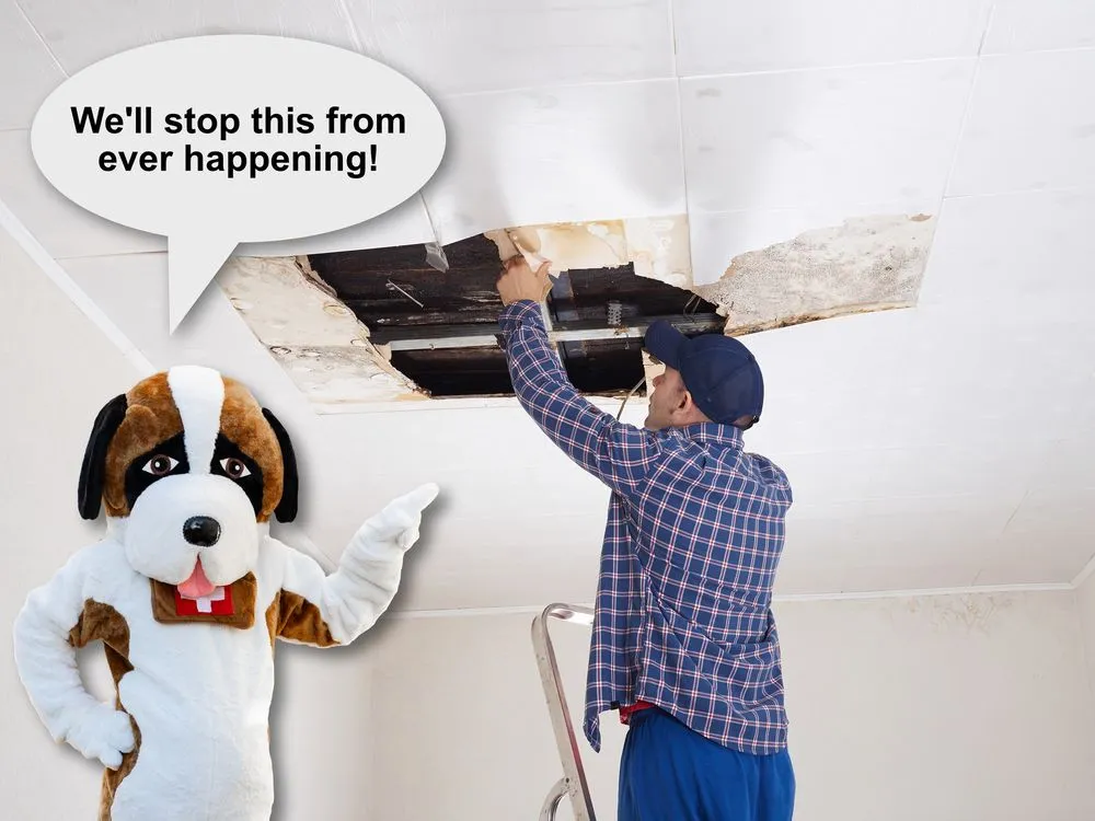 Slide of Rescue Roofer