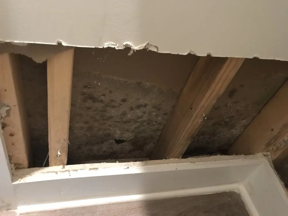 Slide of Residential And Commercial Trades Management Group