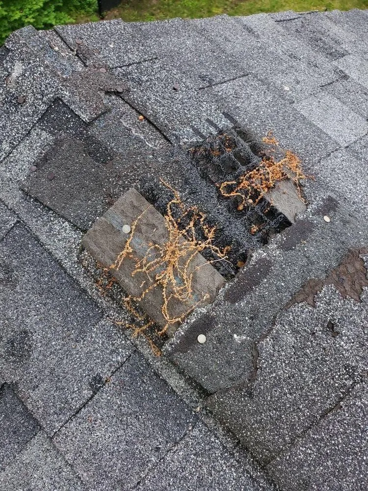 Slide of Residential Roofing & Siding- By Ed LeBrasseur