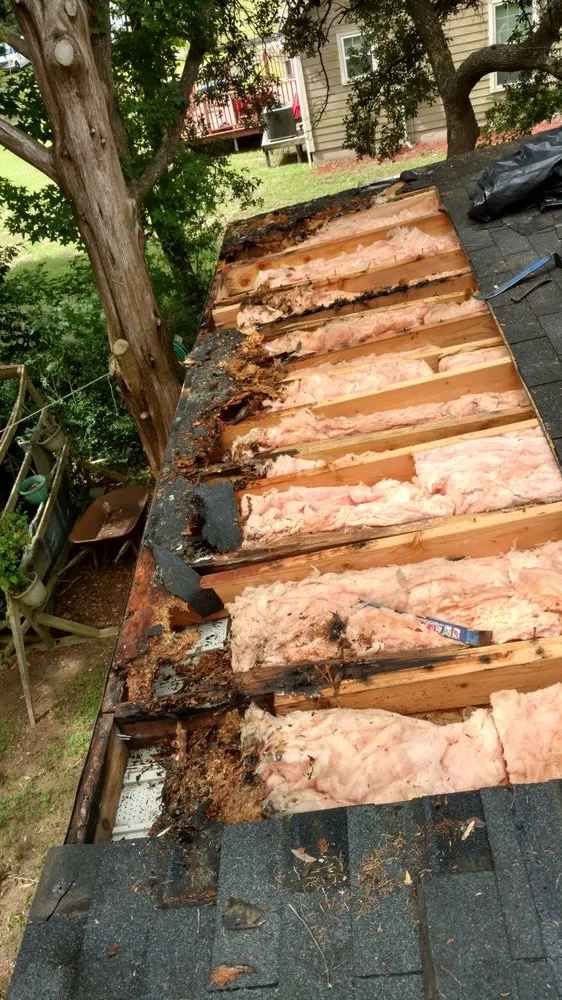 Expert flat roof repair experts serving Pelion, SC - Resilient Roofing & Repair