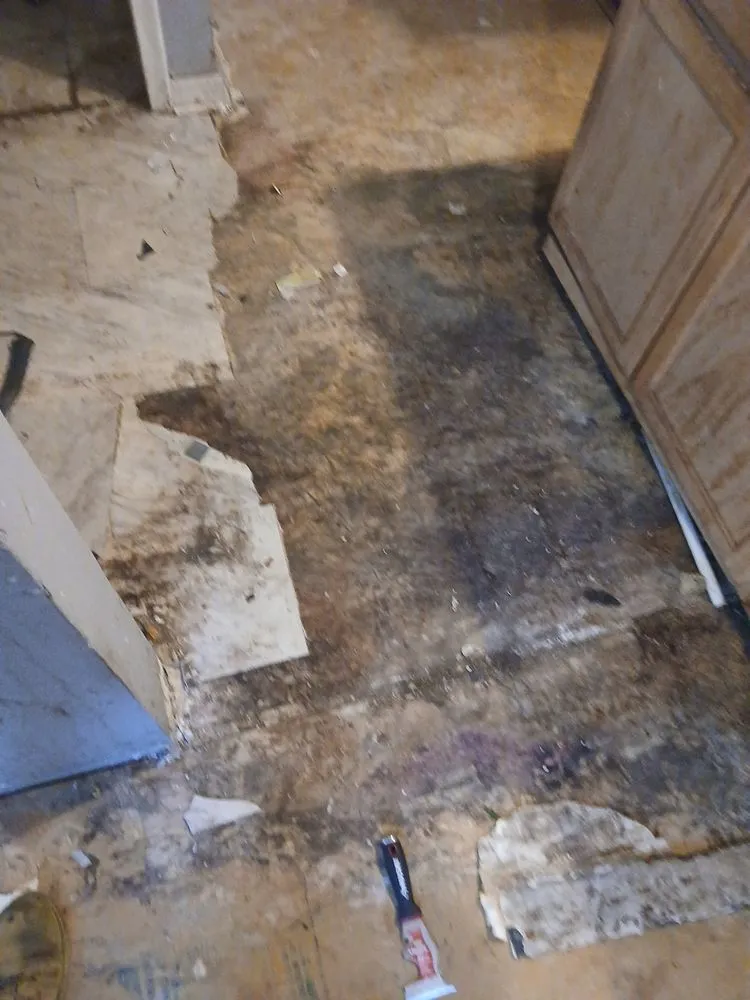 Slide of Resourceful Restorations