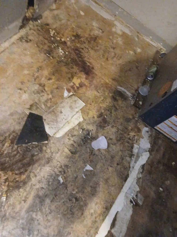 Slide of Resourceful Restorations