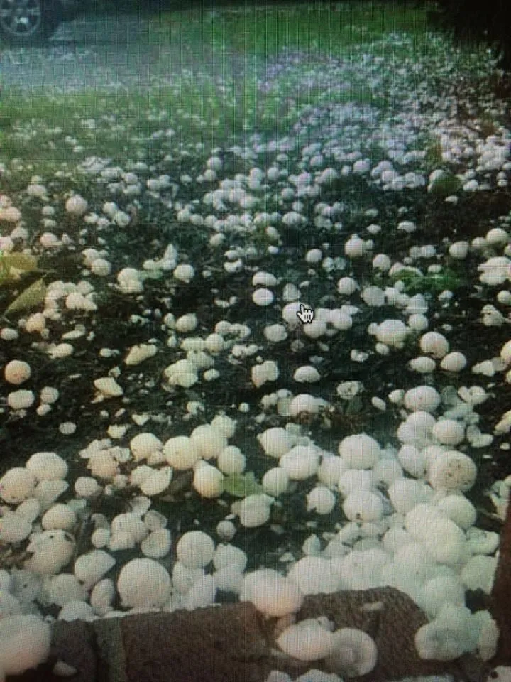 Slide of Restoration & Exteriors