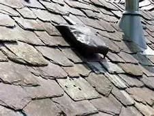 Slide of Restoration & Exteriors